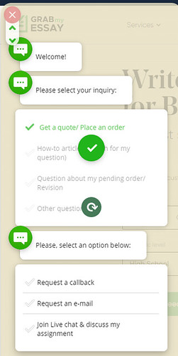 Chatbot on Grabmyessay.com is helpful and not annoying.